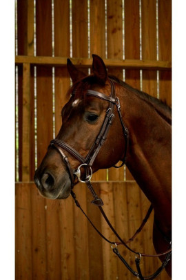 Dyon Flash Noseband Bridle 'Working Collection'