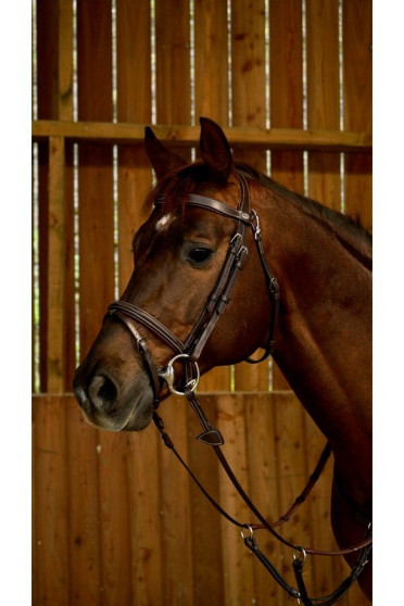 Dyon Flash Noseband Bridle 'Working Collection' Dyon Flash Noseband Bridle 'Working Collection'