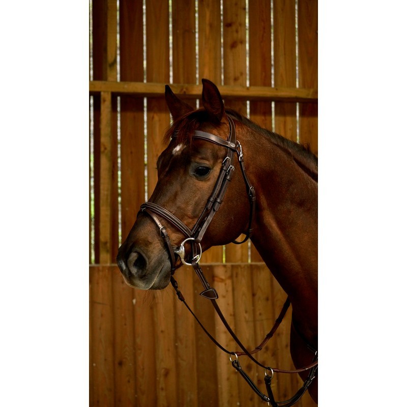 Dyon Flash Noseband Bridle 'Working Collection' Dyon Flash Noseband Bridle 'Working Collection'