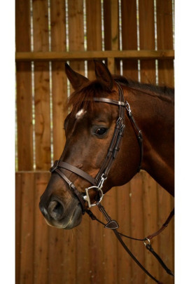 Dyon Flat Leather Bridle With Snap Hooks 'Working Collection'. Trainings Hoofdstel Dyon Flat Leather Bridle With Snap Hooks 'Working Collection'. Trainings Hoofdstel