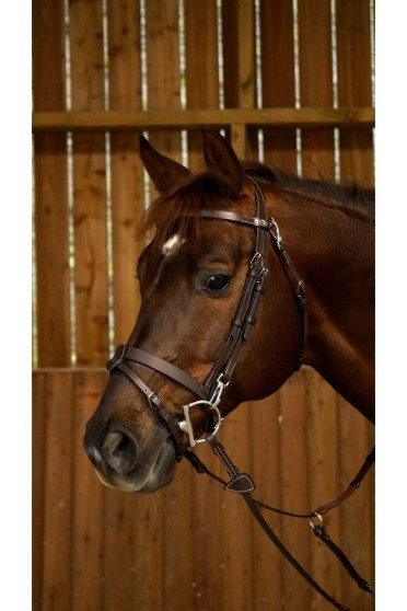 Dyon Flat Leather Bridle With Snap Hooks 'Working Collection'. Trainings Hoofdstel Dyon Flat Leather Bridle With Snap Hooks 'Working Collection'. Trainings Hoofdstel