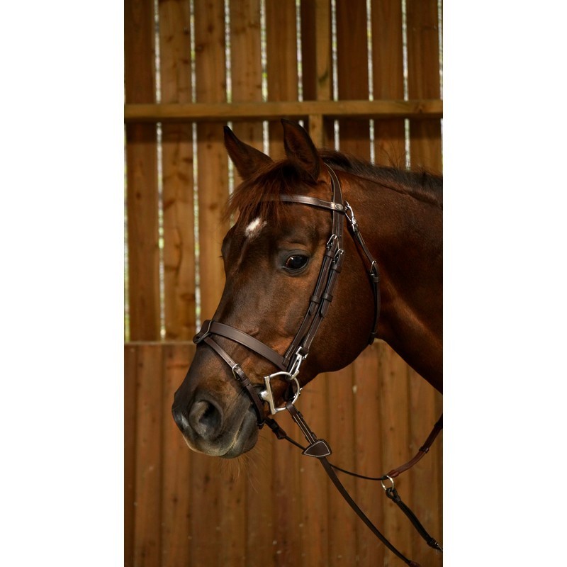 Dyon Flat Leather Bridle With Snap Hooks 'Working Collection'. Trainings Hoofdstel Dyon Flat Leather Bridle With Snap Hooks 'Working Collection'. Trainings Hoofdstel