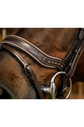 Dyon Working Fit Bridle 'Working Collection' Dyon Working Fit Bridle 'Working Collection'