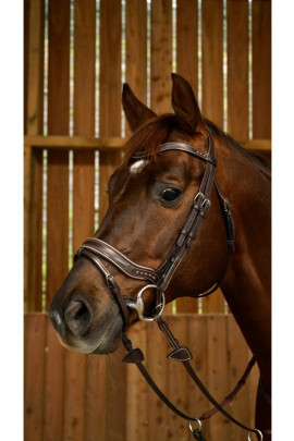 Dyon Working Fit Bridle 'Working Collection' Dyon Working Fit Bridle 'Working Collection'