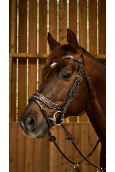 Dyon Working Fit Bridle 'Working Collection' Dyon Working Fit Bridle 'Working Collection'