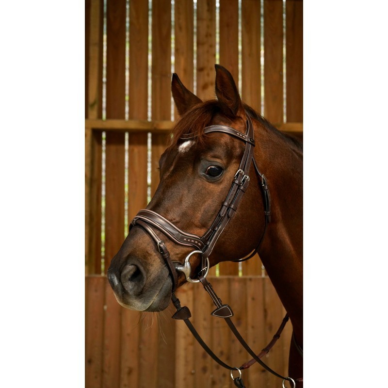 Dyon Working Fit Bridle 'Working Collection' Dyon Working Fit Bridle 'Working Collection'