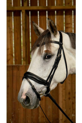 Dyon Matte Large Crank Noseband Bridle With Flash 'Working Collection' Dyon Matte Large Crank Noseband Bridle With Flash 'Working Collection'