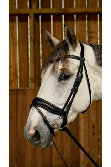 Dyon Matte Large Crank Noseband Bridle With Flash 'Working Collection' Dyon Matte Large Crank Noseband Bridle With Flash 'Working Collection'