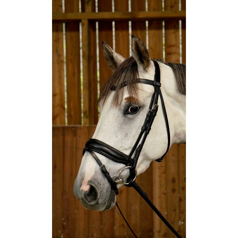 Dyon Matte Large Crank Noseband Bridle With Flash 'Working Collection' Dyon Matte Large Crank Noseband Bridle With Flash 'Working Collection'