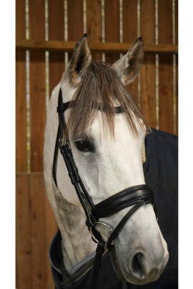 Dyon Matte Large Crank Noseband Bridle With Flash 'Working Collection' Dyon Matte Large Crank Noseband Bridle With Flash 'Working Collection'