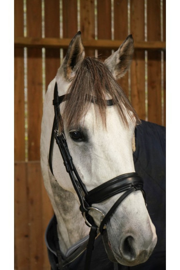 Dyon Matte Large Crank Noseband Bridle With Flash 'Working Collection' Dyon Matte Large Crank Noseband Bridle With Flash 'Working Collection'