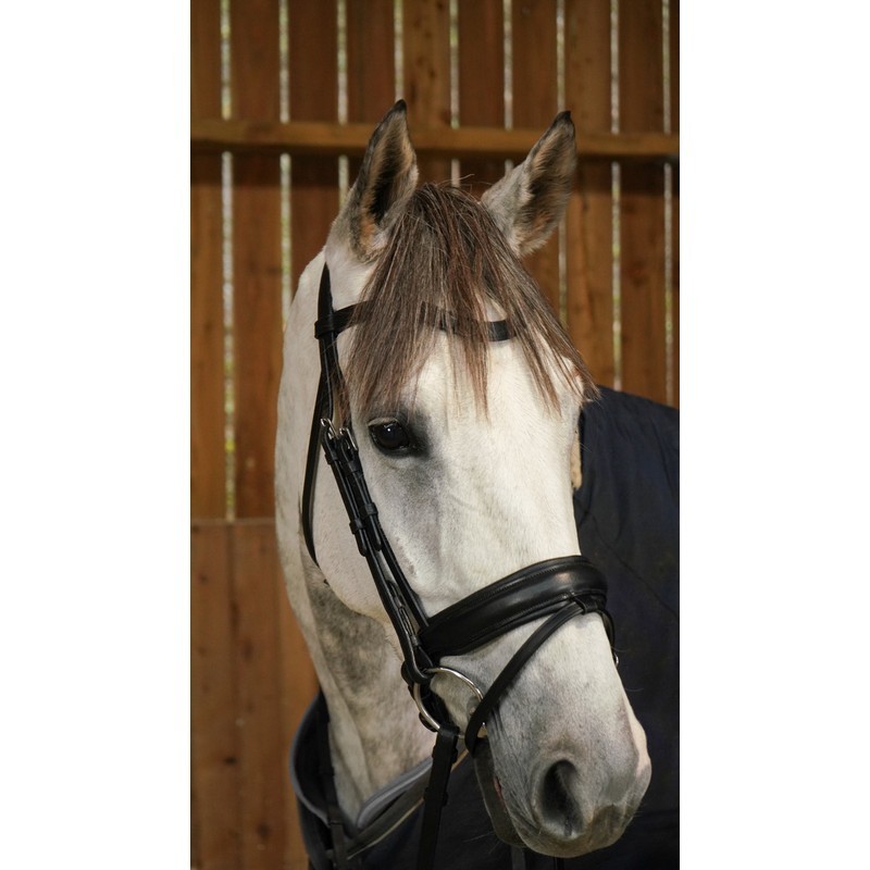 Dyon Matte Large Crank Noseband Bridle With Flash 'Working Collection' Dyon Matte Large Crank Noseband Bridle With Flash 'Working Collection'