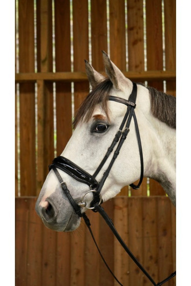 Dyon Patent Large Crank Noseband Bridle With Flash 'Working Collection' Dyon Patent Large Crank Noseband Bridle With Flash 'Working Collection'