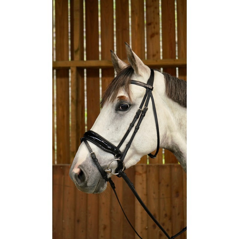 Dyon Patent Large Crank Noseband Bridle With Flash 'Working Collection' Dyon Patent Large Crank Noseband Bridle With Flash 'Working Collection'