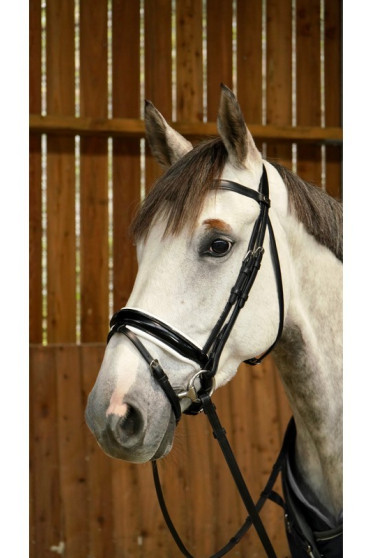Dyon Patent Large Crank Noseband Bridle With White Padding With Flash 'Working Collection' Dyon Patent Large Crank Noseband Bridle With White Padding With Flash 'Working Collection'