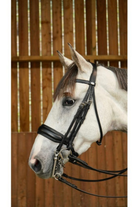 Dyon Matte Large Crank Noseband Double Bridle 'Working Collection'