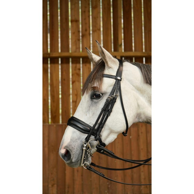 Dyon Matte Large Crank Noseband Double Bridle 'Working Collection' Dyon Matte Large Crank Noseband Double Bridle 'Working Collection'
