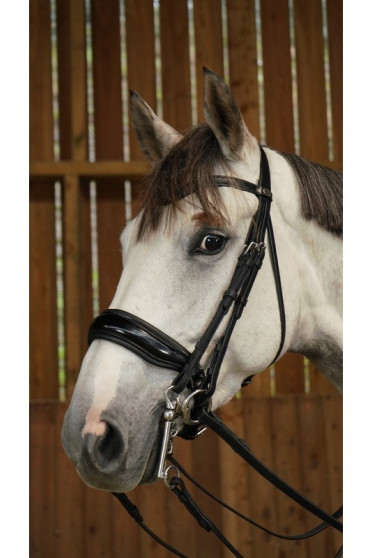 Dyon Patent Large Crank Noseband Double Bridle 'Working Collection' Dyon Patent Large Crank Noseband Double Bridle 'Working Collection'