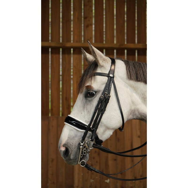 Dyon Patent Large Crank Noseband With White Padding Double Bridle 'Working Collection' Dyon Patent Large Crank Noseband With White Padding Double Bridle 'Working Collection'