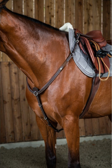 Dyon Breastplate 'Working Collection' Dyon Breastplate 'Working Collection'