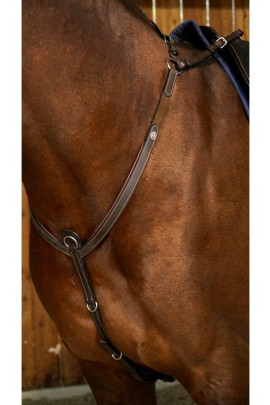 Dyon Bridge Breastplate 'Working Collection'