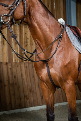 Dyon Running Martingale 'Working Collection'