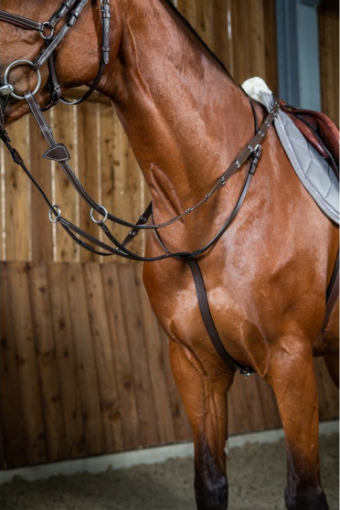 Dyon Running Martingale 'Working Collection' Dyon Running Martingale 'Working Collection'