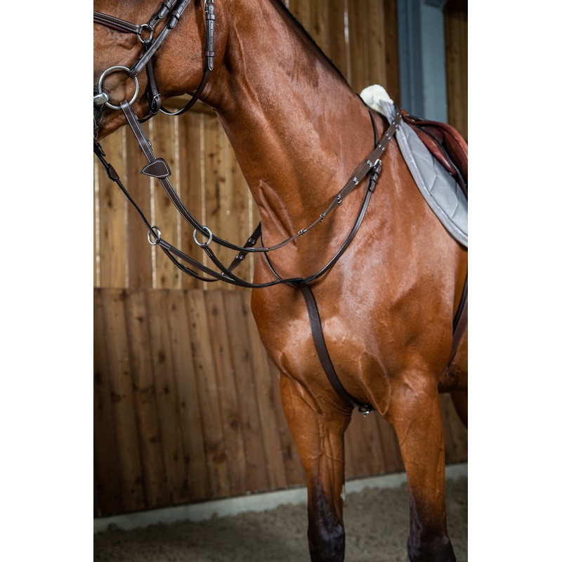 Dyon Running Martingale 'Working Collection' Dyon Running Martingale 'Working Collection'