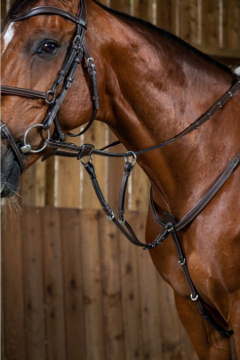 Dyon Running Martingale Attachment 'Working Collection'