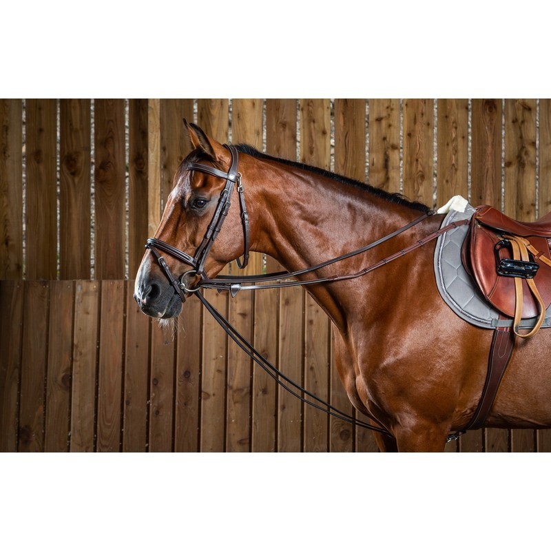 Dyon (12mm) Full Leather Draw Reins 'Working Collection' Dyon (12mm) Full Leather Draw Reins 'Working Collection'