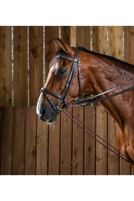 Dyon (16mm) Leather And Nylon Draw Reins 'Working Collection'
