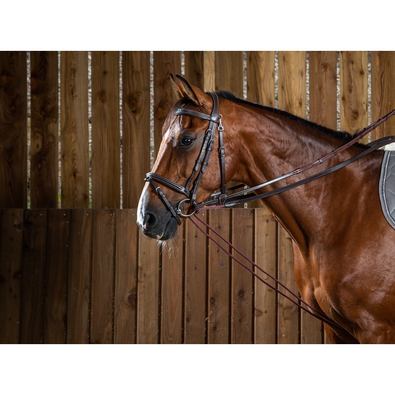 Dyon (16mm) Leather And Nylon Draw Reins 'Working Collection' Dyon (16mm) Leather And Nylon Draw Reins 'Working Collection'