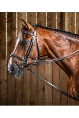 Dyon (16mm) Leather And Nylon Draw Reins 'Working Collection'