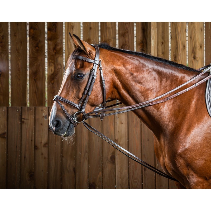 Dyon (16mm) Leather And Nylon Draw Reins 'Working Collection' Dyon (16mm) Leather And Nylon Draw Reins 'Working Collection'