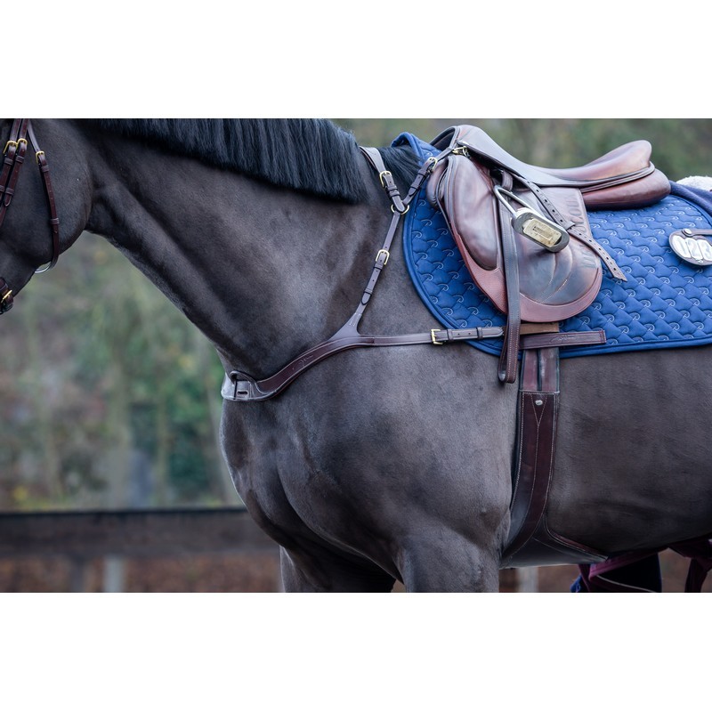 Dyon Anatomic Breastplate 'D Collection' Dyon Anatomic Breastplate 'D Collection'