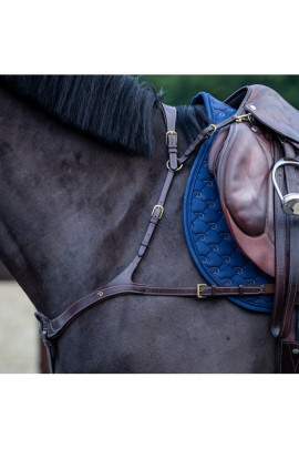 Dyon Anatomic Breastplate 'D Collection'
