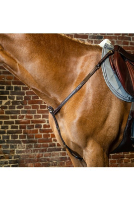 Dyon Breastplate 'D Collection'
