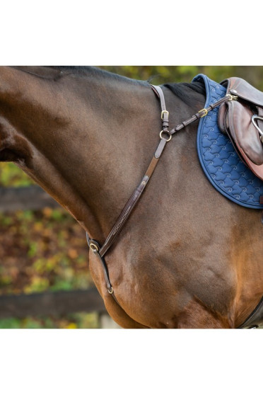 Dyon Bridge Breastplate 'D Collection' Dyon Bridge Breastplate 'D Collection'