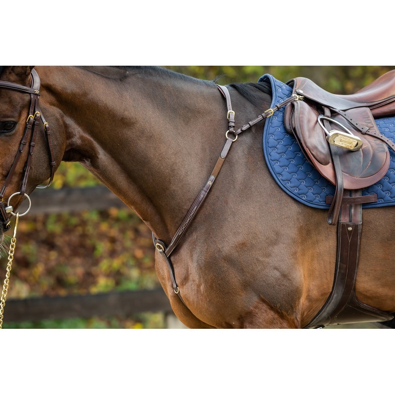 Dyon Bridge Breastplate 'D Collection' Dyon Bridge Breastplate 'D Collection'