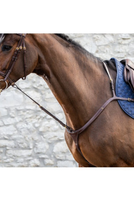 Dyon Standing Martingale Attachment 'D Collection'