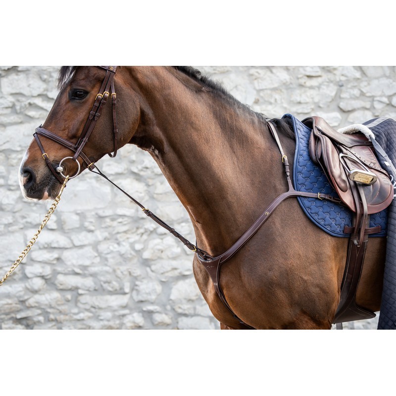 Dyon Standing Martingale Attachment 'D Collection' Dyon Standing Martingale Attachment 'D Collection'
