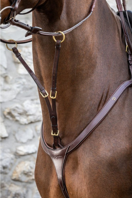 Dyon Running Martingale Attachment 'D Collection' Dyon Running Martingale Attachment 'D Collection'