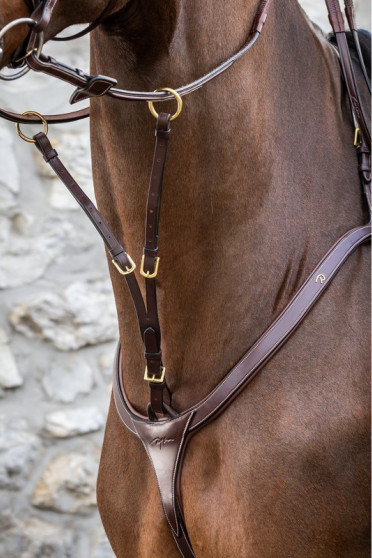 Dyon Running Martingale Attachment 'D Collection' Dyon Running Martingale Attachment 'D Collection'