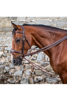 Dyon (16mm) Leather And Nylon Draw Reins 'D Collection'