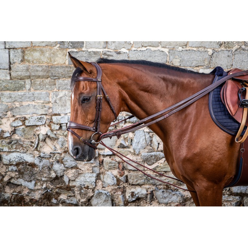 Dyon (16mm) Leather And Nylon Draw Reins 'D Collection' Dyon (16mm) Leather And Nylon Draw Reins 'D Collection'