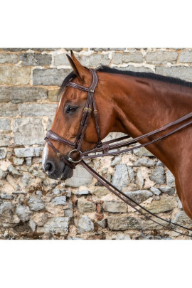 Dyon (13mm) Full Leather Draw Reins 'D Collection'