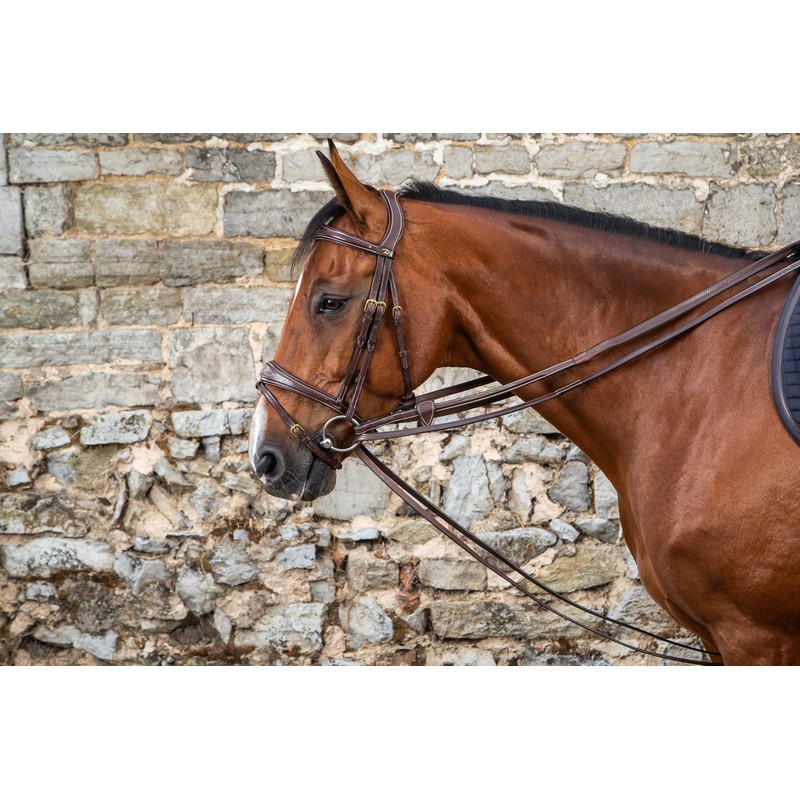 Dyon (13mm) Full Leather Draw Reins 'D Collection'