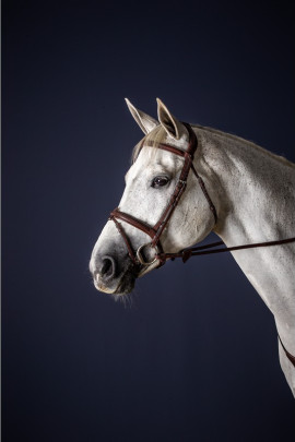 Dyon Flash Noseband Bridle 'New English Collection' Dyon Flash Noseband Bridle 'New English Collection'