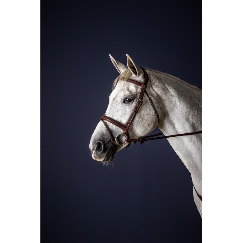 Dyon Flash Noseband Bridle 'New English Collection' Dyon Flash Noseband Bridle 'New English Collection'