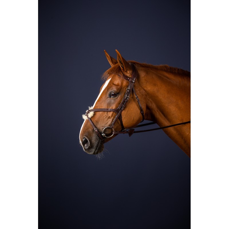 Dyon Figure 8 Noseband Bridle 'New English Collection' Dyon Figure 8 Noseband Bridle 'New English Collection'